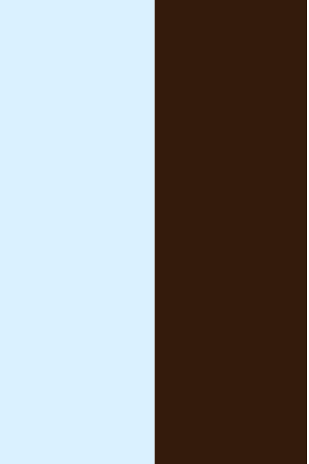 Pristine Icy Blue & Mocha&nbsp;Brown